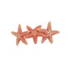 Real Starfish Hair Barrette Clip Triple