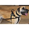 DT Universal No Pull Dog Harness, Hearing Dog, Black, X-Small, Fits Girth Size: 21-Inch to 25-Inch