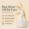 HAYEJIN Rice Bran Oil for Face | Face Moisturizer w/Fermented Rice Bran Oil | Korean Face Oil for Women | Face Serum for Glowing Skin | Korean Skin Care Facial Oils (Pack of 1, 1.01 Fl. Oz)