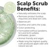 16 fl oz Apple Cider & Sea Salt Green Scalp Scrub Sulfate-Free | 10% AHA & BHA | Exfoliating Hair & Scalp Treatment for Detox, Dandruff & Build-Up | Scalp Exfoliator Hair Scalp Scrub | Refreshing