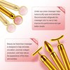 4-in-1 Face Massager Roller 24k Golden Face Roller, Arm Eye Nose Massage for Face Facial Massager Skin Care Tools