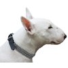 Triple Metal Chain 1" Wide Genuine Leather Straps Dog Collar (22.5"-25")