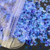 CellLuck 12 Bags of Chunky Glitters,120g/4.23oz Craft Glitter Set,Star Moon,Butterfly and Heart Shaped Glitter Flakes for Tumblers, Body, Face, Nail Art, Resin Craft