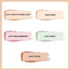 Setting Powder Lightweight Loose Powder Finishing Powder Long-Lasting Face Powder Waterproof with Soft Mushroom Powder Puff & Mirror, Matte Finish,0.28 Oz (Light Apricot/Translucent)