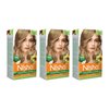 Nisha Creme Permanent Hair Color 100 percent Gray Coverage Hair Dye Easy to Apply Long Lasting Hair Colouring For Ultra Soft Deep Shine Conditioning With Natural Herbs Pack of 3 (Light Blonde)