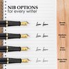 Wordsworth & Black Fountain Pen Set, Extra Fine Nib, Includes 24 Ink Cartridges & Ink Refill Converter, Gift Case, Journaling, Calligraphy, Smooth Writing Pens [Black Gold], Perfect for Men & Women