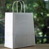 EcoQuality Medium White Kraft Paper Bags with Handles, 10x5x15 inches, 250 Count, Reusable, Durable, Ecofriendly, Multi-purpose Gift, Grocery, Party Bags
