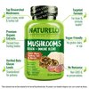 NATURELO Mushroom Supplement – Brain & Immune Health Blend with Lion’s Mane, Reishi, Turkey Tail – 90 Vegan Friendly Capsules