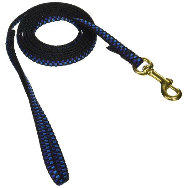 6' Pet Leash - Extra Small - Step 1 Blue Dog Leash