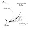 LLBA Promade Wispy Lash Extensions 9D 0.05, 100% Handmade Eyelashes Volume Fans, C Cc D Curls, 9-17 Mm Length, Long-Lasting, Easy Application (D 14 mm)