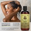 Sunny Isle Shea Coconut Moisturizing Shampoo 12oz | Infused with Jamaican Black Castor Oil | Curly Hair Shampoo | Hydrating for Dry Curls, Waves, Coils | Silicone, Paraben & Sulfate-FREE