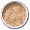 EX1 Pure Crushed Mineral Powder Foundation (2.0)