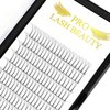 Premade Volume Eyelash Extensions 3D-C-0.07-9-16mix Long Stem Premade Fans Eyelash Extensions .07 .10 Premade Volume Fans Volume Lash Extensions C D Curl(3D-C-0.07,9-16 mix)