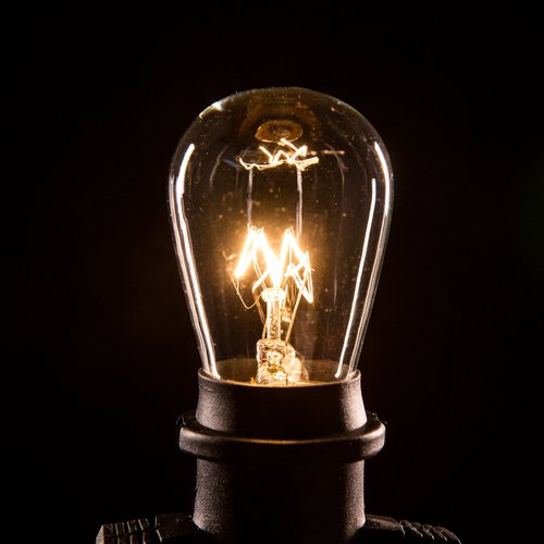 Hometown Evolution, Inc. Commercial E26 String Lights with 16 Gauge Wire (50 Foot 25 Socket, S14 11 Watt Clear Bulb)