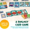 Genius Games Peptide: A Protein Building Game | A Strategy Card Game with Accurate Science for Gamers and Teachers | Teaches Amino Acids, mRNA, Organelles