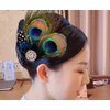 Aliotech Beautiful Butterfly Peacock Feather Hair Clip Pins with Rhinestones,Feather Hair Clip Pin Bridal Wedding Dance Party Hair Accessory