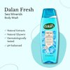 Dalan Natural Extracts Body Wash, with Fresh Pink Grapefruit & Aloe Vera & Sea Minerals, 15.2 fl oz (1 Pack, Sea Minerals)