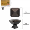 Amerdeco 10 Pack Oil Rubbed Bronze Square Kitchen Cabinet Knobs Cabinet Hardware Single Hole Cabinet Pulls Gold Drawer Knobs and Pulls for Bathroom Cabinets ZH0019