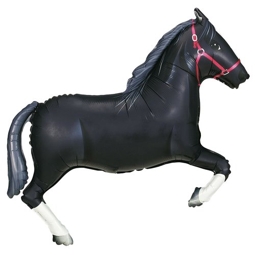 Mulan Birthday Balloon Bouquet Party Supplies and Black Horse Decorations