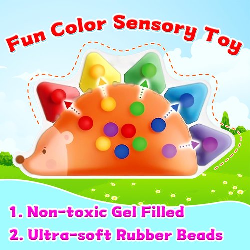 HAKOTOM Color Sorting Toys Sensory Toys, Fine Motor Skills Game for Toddlers, Travel Color Matching Toys, Preschool Learning Activities, Montessori Calm Down Toys for Kids Boys Girls Ages 3+ Gifts