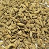 Fennel Seeds (Roasted) 7oz- Indian Grocery,Spice