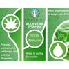 AYURVEDASHREE Aloe Vera Leaf Powder 100 Gram - 100% Pure & Naturally Cultivated Aloevera Powder - Aloe Barbadensis - Vegan I Non GMO I Natural Skin Moisturizer