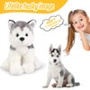 BSTAOFY 12'' Husky Stuffed Animal Realistic Puppy Dog Soft Plush Toys Adorable Birthday Valentines Christmas Festivals Gifts for Kids Toddlers Boys Girls
