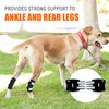 NeoAlly - Short Rear Leg Hock Brace, Dog Leg Brace for Rear Leg, Hock & Ankle Support, Dog Brace for Torn ACL & CCL, Dog Leg Sleeve with Reflective Straps, XL, Black, 1 Pair