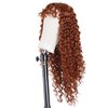 YXCHERISHAIR Curly Wigs for Black Women Ginger Afro Bomb Curly Wig with Bangs Long Curly Wavy Wig Synthetic Fiber Glueless Long Kinky Curly Hair (350, 24inch)