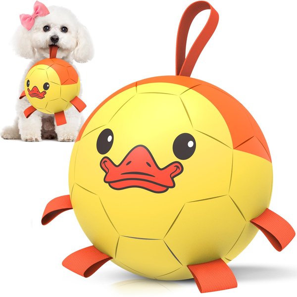 QDAN Dog Toys Soccer Ball with Straps - Durable Dog Balls for Small Medium Dogs, Beach Pool Dog Water Toy, Duck Dog Toy, Puppy Dog Birthday Gifts, Herding Balls for Dog (6 Inch)