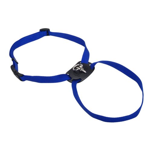 Coastal Pet Size Right Adjustable Dog Harness - Small & Big Dog Harness - Comfortable Dog Training Harness - Includes Snap-Lock Buckle - Quality Dog Supplies - Blue, 5/8" x 18-24"