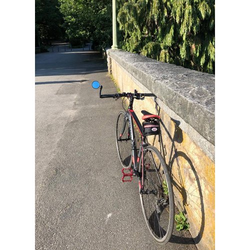 Hafny Bar End Bike Mirror, HD Blast-Resistance Bicycle Mirror, Safe Adjustable Rearview Mirror, Cycle Mirror, E-bike Mirror, HF-M952S-FR04 (Silver Glass Lens (68mm))