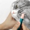 Cat Head Brush, Cat acne Cleaner Pet Eye Comb Brush Pet Tear Stain Remover Comb Cleaning Grooming Tools Brush for Small Cat Dog Gentle Cleaning Eye Scabs Dogs Tear Stain Remover Gently remove