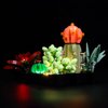 Kyglaring LED Lighting Kit Only Lights Set Designed for Lego Succulents 10309 Plant Decor Model Building Set - Without Lego Set (Standard Version)