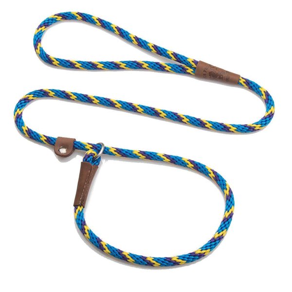 Mendota Pet Slip Leash - Dog Lead and Collar Combo - Made in The USA - Sunset, 3/8 in x 6 ft - for Small/Medium Breeds