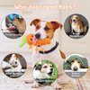 Vehomy Easter Dog Toy Squeaky Puzzle Dog Toys Easter Carrot Puppy Toy for Small and Medium Dogs Interactive Easter Bunny Dog Toy for Teething Chewing Carrot