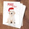 Canopy Street Labrador Love Holiday Card Pack / 25 Cards And Envelopes Pack/Festive Santa Hat Puppy Design With Greeting Inside/Dog Christmas And New Year Cards