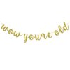 Wow You're Old Banner, 40th 50th Birthday Party Decorations, 60th 70th Sign Backdrop, 80th 90th Supplies (Gold Glitter)