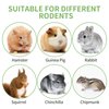 50-60 PCS Natural Rabbit Chew Toys, Rabbit Treats, Guinea Pig Chew Toys, Bunny Toys, Hamster Treats, Timothy Stick, Apple Sticks, Sweet Bamboo, for Guinea Pig, Hamster, Chinchilla, Rat, Small Animals