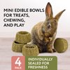 Evergreen Pet Supplies [4 Pack] Furry Friends Timothy Hay Chewing Bowl for Small Pets & Bunnies - Edible Bowls for Guinea Pig Treats - Ferret & Rabbit Toys - Guinea Pig Food Bowl - Bunny Toys