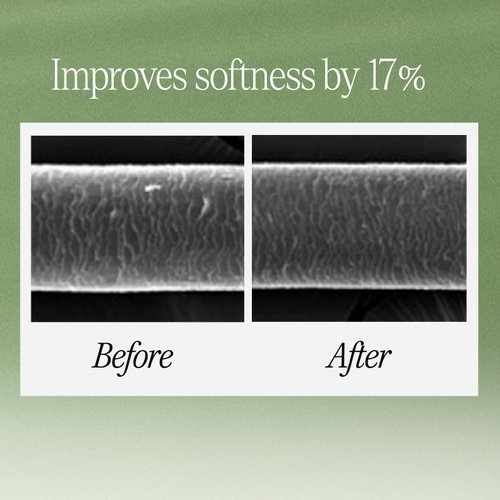 LONGTAKE Sandalwood Intensive Hair Pefrume Clarifying Shampoo 10.1 Fl Oz, 300MLㅣHair VolumeㅣAnti-frizzㅣImproves softness