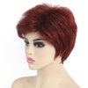 SYXLCYGG Short Wig Old Lady Wigs Auburn Wig Ladies Wavy Synthetic Older Womens Hair Wigs Fluffy Full But Very Thin Only 2.7 OZ Free Wig Cap