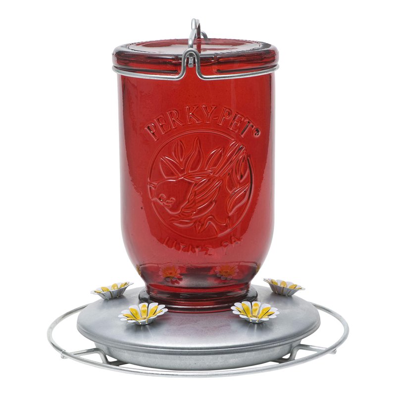 Perky-Pet 786-1SR Mason Jar Vintage Glass Hummingbird Feeder - Outdoor ...
