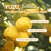 Maybena Yuzu Honey Chung Pack Cleanser | Moisturizing & Hydrating Facial Cleanser w/Yuzu and Honey Extract | K Beauty Gentle Pore Cleaner Sebum Control Foaming Face Wash for All Skin Types 3.38 fl oz