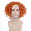 MAGQOO Mens Orange Wig Short Curly Spiky Mad Wig Synthetic Heat Resistant Cosplay Costume Wigs