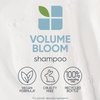 Biolage Volume Bloom Shampoo | Volumizing Shampoo | Lightweight Volume & Shine | For Fine Hair | Paraben & Silicone-Free | Vegan​ | Cruelty Free | Salon Shampoo | 13.5 Fl. Oz