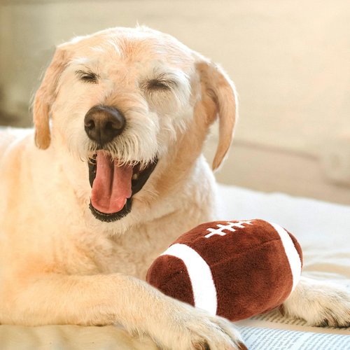 FRCOLOR Pet Ball Toy Interactive Dog Toys Puppy Dental Chew Toys Dog Molar Toy Puppy Chew Toys Dog Teething Toy Dog Rugby Ball Toy Dog Squeaky Balls Bite Small Dog Plush