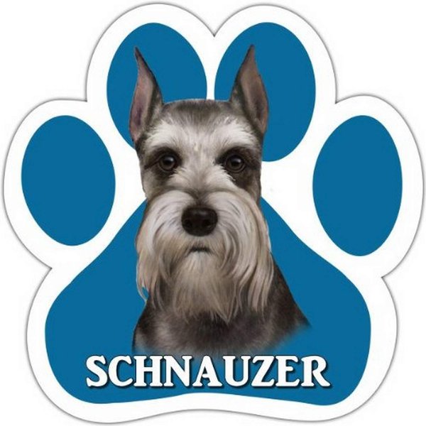Schnauzer, Cropped Car Magnet With Unique Paw Shaped Design Measures 5.2 by 5.2 Inches Covered In High Quality UV Gloss For Weather Protection