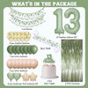 13th Birthday Decorations for Girls Boys, Sage Green Official Teenager Banner 13th Birthday Cake Topper Party Decorations Green Balloons Kit, 13 Years Old Birthday Party Supplies for Teenager and Kids