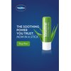 Vaseline Lip Therapy Stick with Petroleum Jelly (Aloe Vera, Pack of 2)
